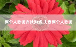 两个人吃饭有啥游戏,夫妻两个人吃饭