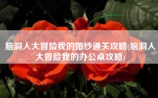 脑洞人大冒险我的婚纱通关攻略(脑洞人大冒险我的办公桌攻略)