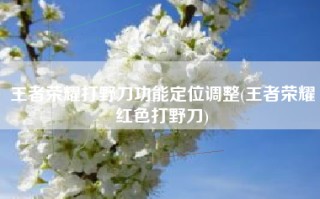 王者荣耀打野刀功能定位调整(王者荣耀红色打野刀)
