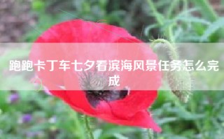 跑跑卡丁车七夕看滨海风景任务怎么完成