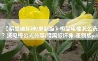 《暗黑破坏神2重制版》极品电棒怎么洗？洗电棒公式分享(暗黑破坏神2重制版ps5)