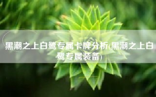 黑潮之上白鹭专属卡牌分析(黑潮之上白鹭专属装备)