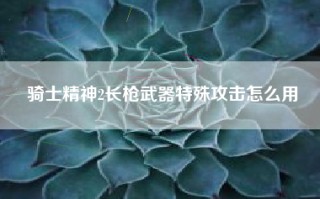 骑士精神2长枪武器特殊攻击怎么用