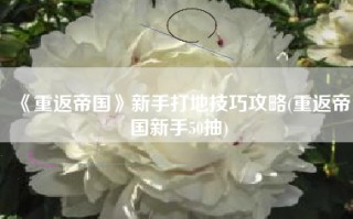 《重返帝国》新手打地技巧攻略(重返帝国新手50抽)