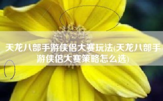 天龙八部手游侠侣大赛玩法(天龙八部手游侠侣大赛策略怎么选)