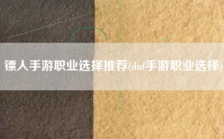 镖人手游职业选择推荐(dnf手游职业选择)