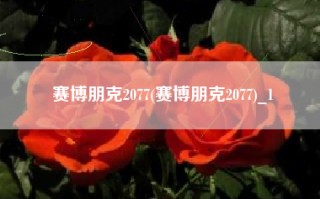 赛博朋克2077(赛博朋克2077)_1