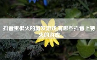 抖音里很火的剪发游戏,有哪些抖音上特火的游戏