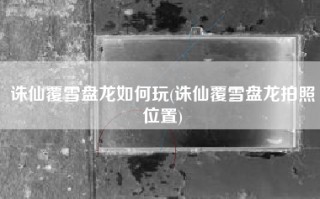 诛仙覆雪盘龙如何玩(诛仙覆雪盘龙拍照位置)