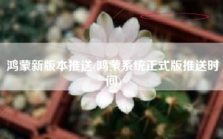 鸿蒙新版本推送(鸿蒙系统正式版推送时间)