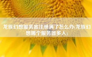 龙族幻想服务器注册满了怎么办(龙族幻想哪个服务器多人)