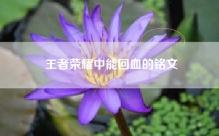 王者荣耀中能回血的铭文