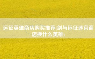远征英雄商店购买推荐(剑与远征迷宫商店换什么英雄)