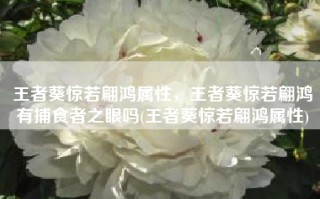 王者葵惊若翩鸿属性，王者葵惊若翩鸿有捕食者之眼吗(王者葵惊若翩鸿属性)
