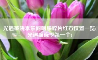 光遇破晓季禁阁暗黑碎片红石位置一览(光遇破晓季第一个)