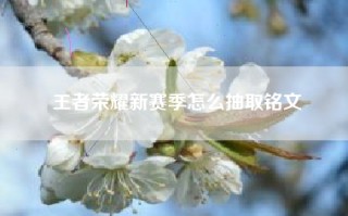 王者荣耀新赛季怎么抽取铭文