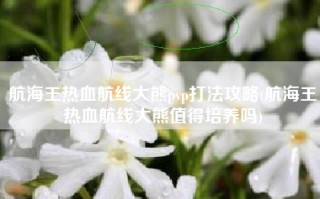 航海王热血航线大熊pvp打法攻略(航海王热血航线大熊值得培养吗)