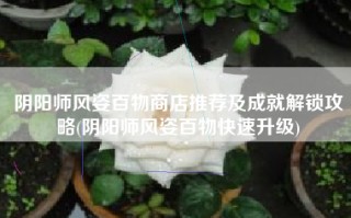 阴阳师风姿百物商店推荐及成就解锁攻略(阴阳师风姿百物快速升级)