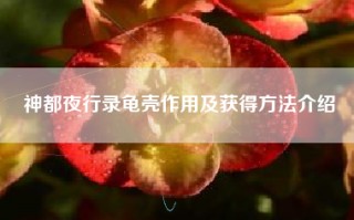 神都夜行录龟壳作用及获得方法介绍