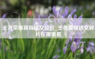 王者荣耀高级铭文碎片_王者荣耀铭文碎片在哪里看