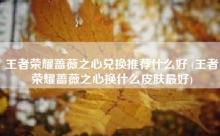 王者荣耀蔷薇之心兑换推荐什么好 (王者荣耀蔷薇之心换什么皮肤最好)