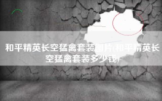 和平精英长空猛禽套装图片(和平精英长空猛禽套装多少钱)