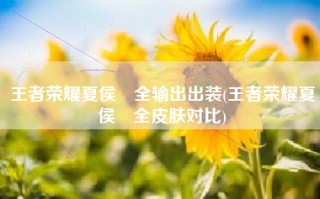王者荣耀夏侯惇全输出出装(王者荣耀夏侯惇全皮肤对比)
