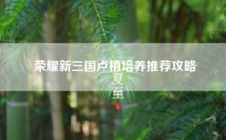 荣耀新三国卢植培养推荐攻略