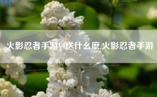 火影忍者手游V4送什幺麽,火影忍者手游
