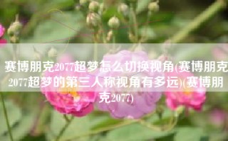 赛博朋克2077超梦怎么切换视角(赛博朋克2077超梦的第三人称视角有多远)(赛博朋克2077)