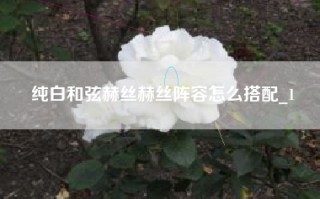 纯白和弦赫丝赫丝阵容怎么搭配_1