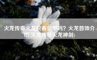 火龙传奇火龙只有剑甲吗？火龙首饰介绍(火龙传奇火龙神剑)
