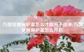 万国觉醒保护罩怎么才能开不出来(万国觉醒保护罩怎么开启)