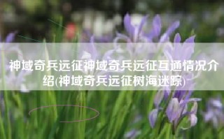 神域奇兵远征神域奇兵远征互通情况介绍(神域奇兵远征树海迷踪)