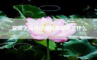 黎明之海环球领航员称号是什么
