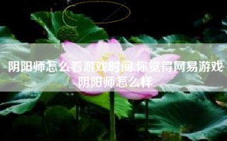 阴阳师怎么看游戏时间,你觉得网易游戏阴阳师怎么样