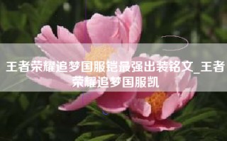 王者荣耀追梦国服铠最强出装铭文_王者荣耀追梦国服凯
