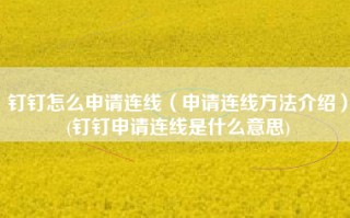 钉钉怎么申请连线（申请连线方法介绍）(钉钉申请连线是什么意思)