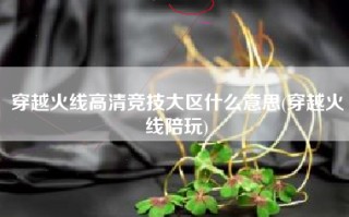 穿越火线高清竞技大区什么意思(穿越火线陪玩)