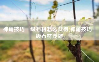 神角技巧一级石材怎么获得(神角技巧一级石材浅滩)