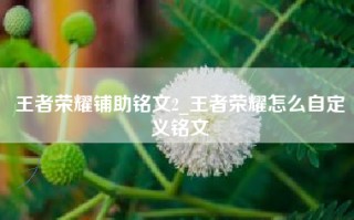 王者荣耀铺助铭文2_王者荣耀怎么自定义铭文
