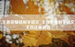王者荣耀铭射手铭文_王者荣耀射手铭文无双还是祸源