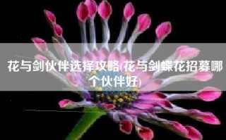 花与剑伙伴选择攻略(花与剑蝶花招募哪个伙伴好)