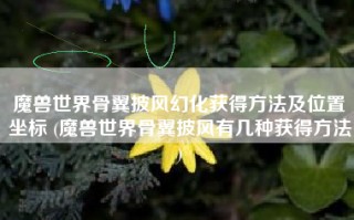 魔兽世界骨翼披风幻化获得方法及位置坐标 (魔兽世界骨翼披风有几种获得方法)