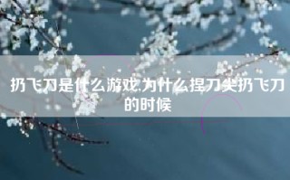 扔飞刀是什么游戏,为什么捏刀尖扔飞刀的时候