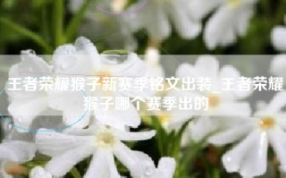 王者荣耀猴子新赛季铭文出装_王者荣耀猴子哪个赛季出的