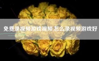 免费录视频游戏视频,怎么录视频游戏好