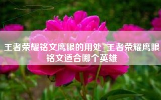 王者荣耀铭文鹰眼的用处_王者荣耀鹰眼铭文适合哪个英雄