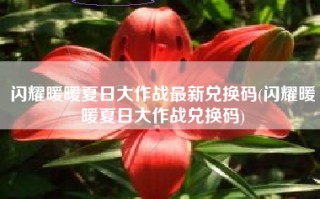 闪耀暖暖夏日大作战最新兑换码(闪耀暖暖夏日大作战兑换码)
