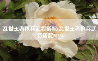乱世王者枪兵武将搭配(乱世王者枪兵武将搭配2022)